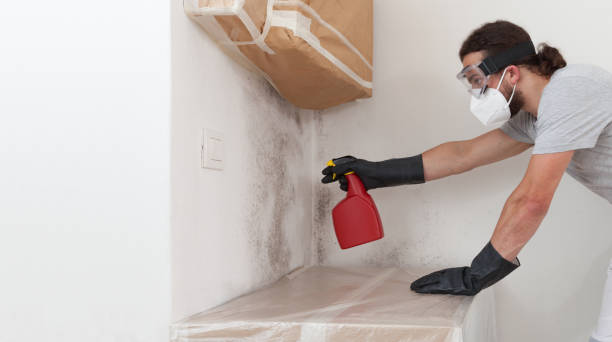 Professional Mold Removal technician working in Mathews, VA